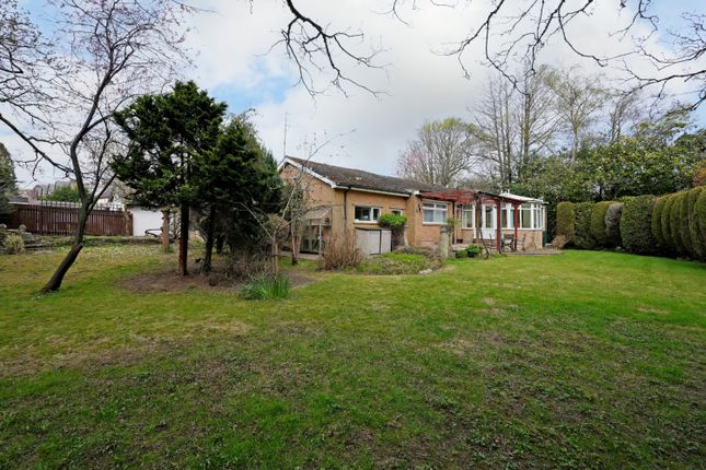 4, Brinkburn Close, Sheffield photo 4