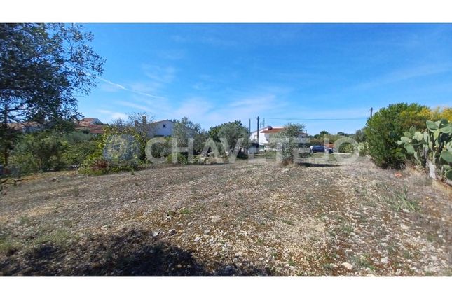 Land for sale in Cem Soldos, Madalena E Beselga, Tomar
