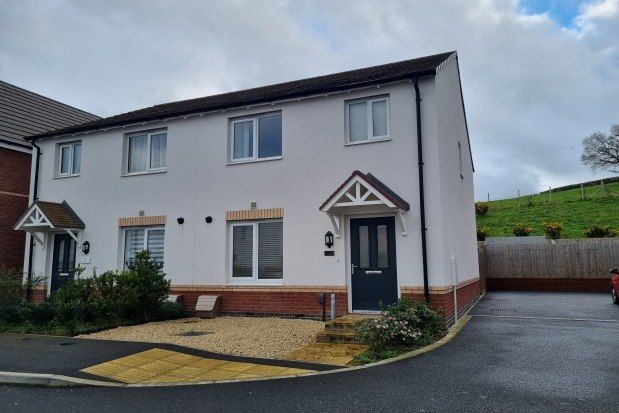 Property to rent in Hollyhock Crescent, Newton Abbot
