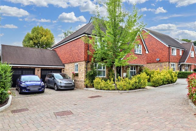 Driveway / Garages