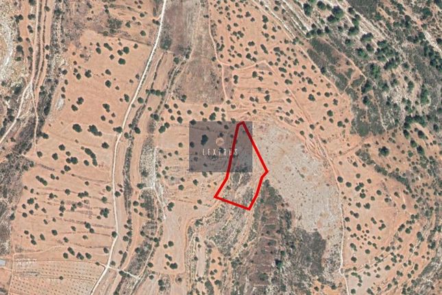 Thumbnail Land for sale in Pachna, Cyprus
