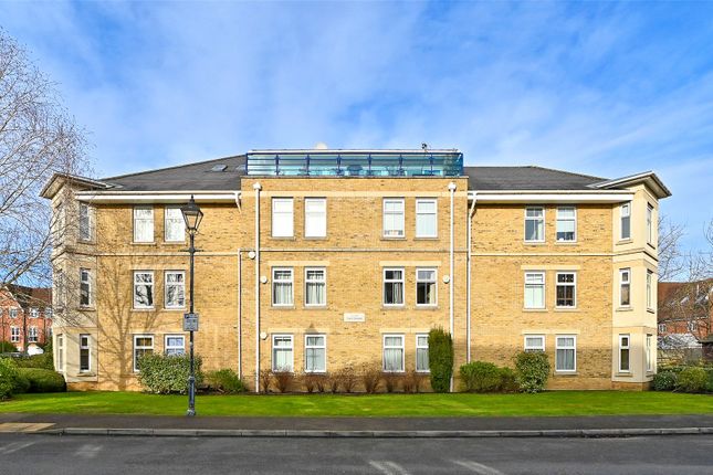 Rear Elevation