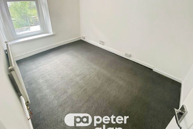 3, Mountain Ash photo 5