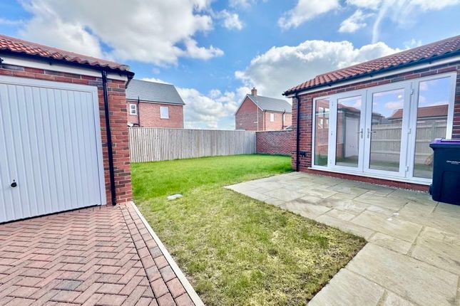 Rear Garden And Garage