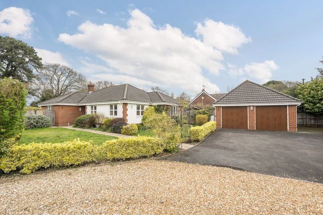 Thumbnail Bungalow for sale in Blythe Road, Corfe Mullen