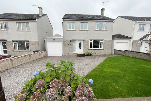 Thumbnail Detached house for sale in Moss View, Dumfries
