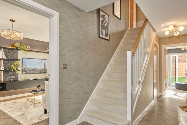 Showhome Photography