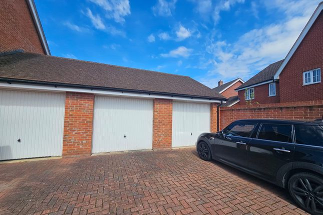 Detached house to rent in Ambrose Way, Romsey
