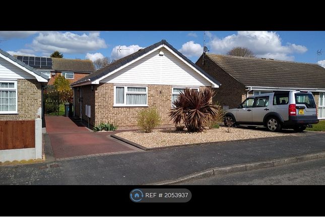 Thumbnail Bungalow to rent in Lauder Close, Derby