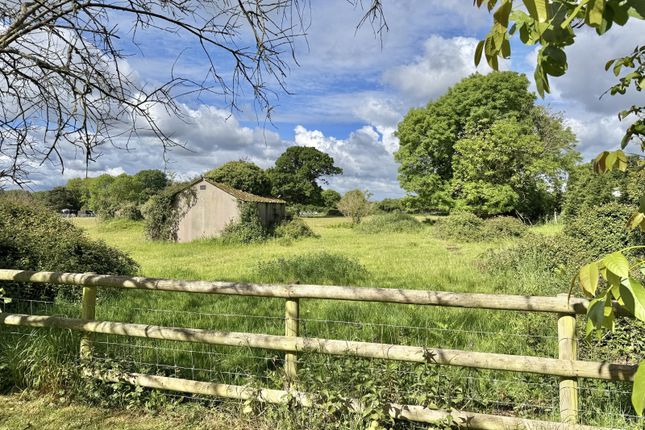 Oakford, South Gorley, Ringwood photo 4