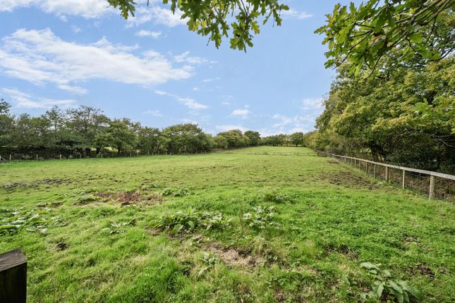 BLAENRHYD, Heol Dinefwr, Llanelli photo 4