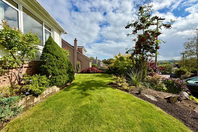 77 St. Ronans Drive, Peterculter photo 4
