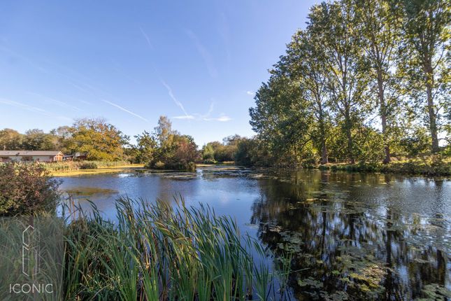 Fishermans Rest, Haveringland Hall Park, Norwich photo 2
