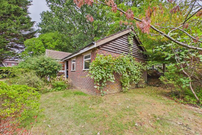 131, Comptons Lane, Horsham photo 3