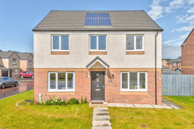 Thumbnail Detached house for sale in Clive Road, Dundee