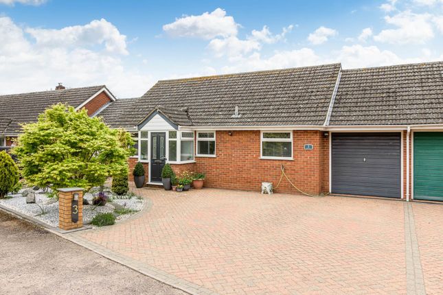 Thumbnail Detached bungalow for sale in Violets Close, North Crawley