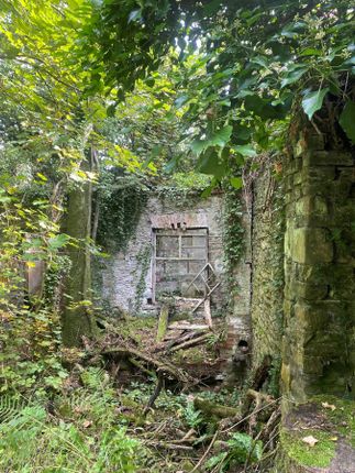 Llangibby Castle House, Castle Drive, Llangybi photo 3