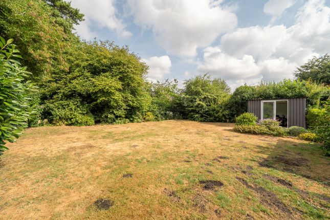 42, Blackberry Lane, Alton photo 4