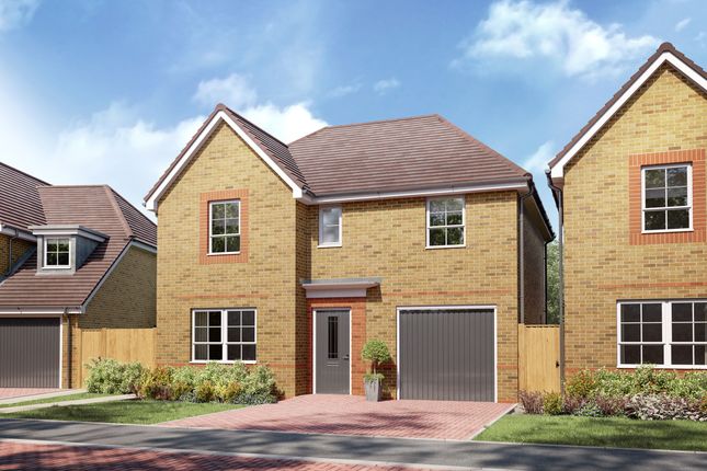 Thumbnail Detached house for sale in "Roxton" at Sulgrave Street, Barton Seagrave, Kettering
