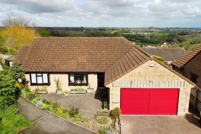 Thumbnail Detached bungalow for sale in Beechwood Drive, Crewkerne