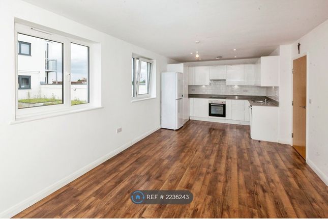 Kitchen/Lounge/Dining