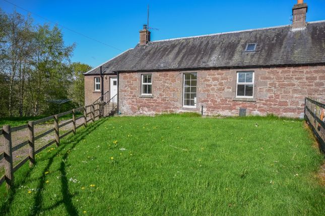 Thumbnail Flat to rent in Simprim Farm, Meigle, Blairgowrie, Perthshire