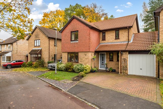 1371505-1-6904Daa...