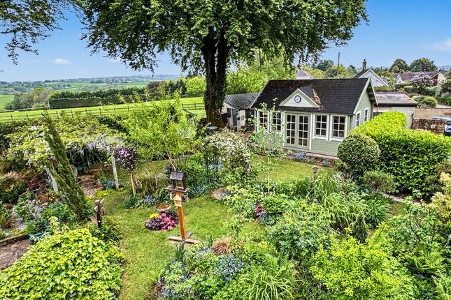Wistaria Cottage, Tiverton photo 3