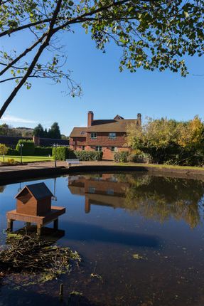 Barnet Farm, Norley Lane - Edited (18).Jpg