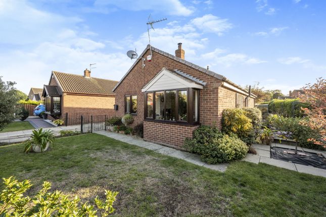 Thumbnail Detached bungalow for sale in Blue Bell Court, Blaxton, Doncaster