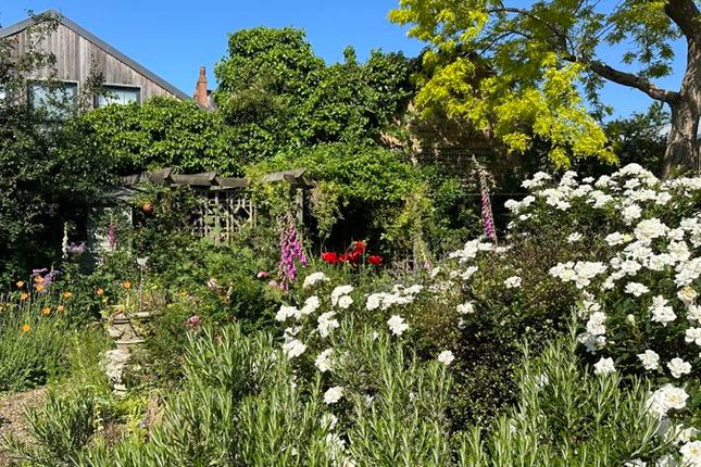 Summer Garden