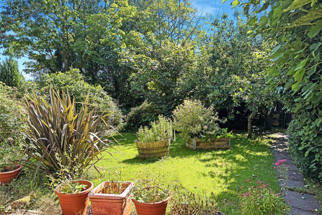 Watermeadows,, Halgavor Lane, Cornwall photo 3