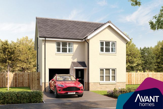 Detached house for sale in "The Lenzie" at Sycamore Drive, Penicuik