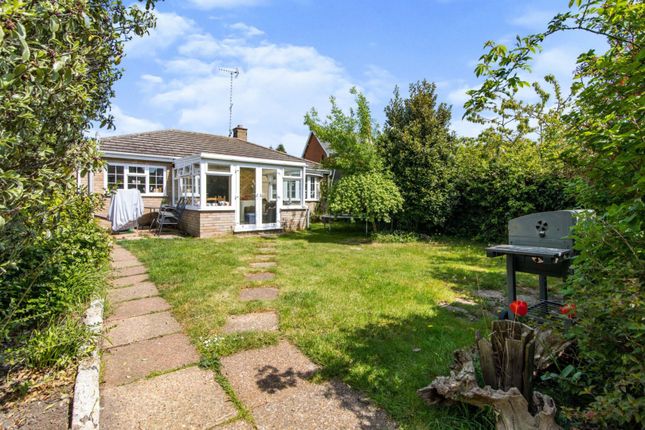 Thumbnail Detached bungalow for sale in Halesworth Road, Southwold