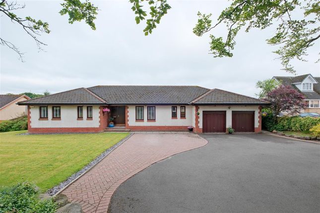 Thumbnail Detached house for sale in Wilsons Road, Hareshaw, Motherwell