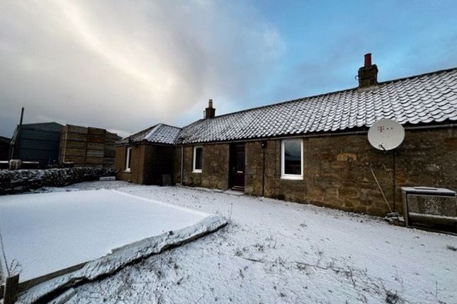 Thumbnail Semi-detached house to rent in Boghall Farm, Kingsbarns, Fife
