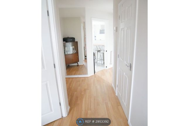 Westland Drive, Lee-On-The-Solent photo 5