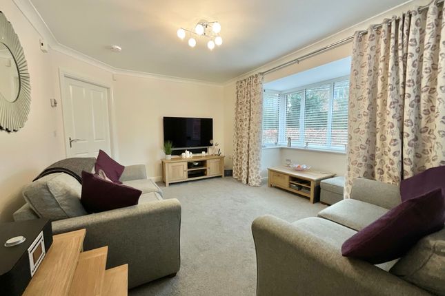 19 Williams Drive, Crewe photo 4