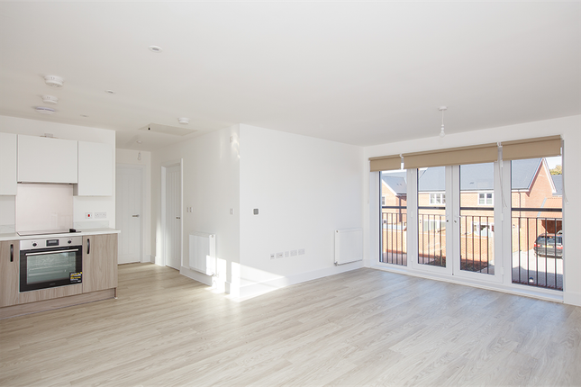 2 armada - Daisy RL, Leaf Living at Chesterwell, Mile End, CO4, Mile End photo 4
