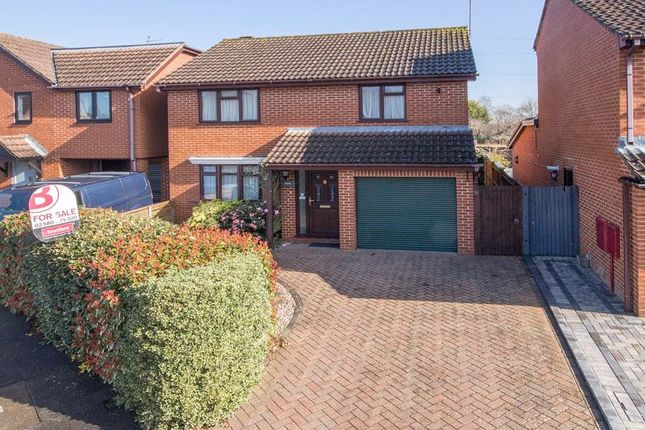 Thumbnail Detached house for sale in Tamorisk Drive, Totton, Southampton