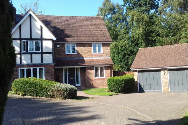 Homes to Let in Sutton Coldfield - Rent Property in Sutton Coldfield