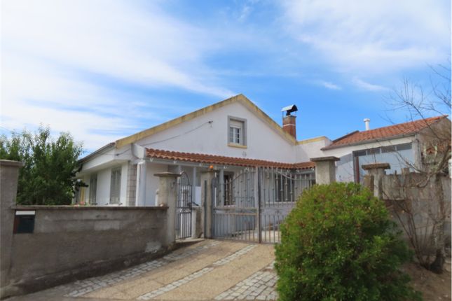 Thumbnail Property for sale in 6060 Idanha-A-Nova, Portugal