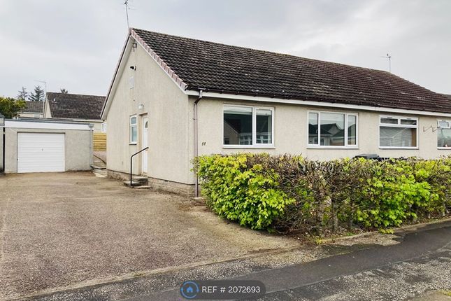 Thumbnail Bungalow to rent in Middlepark, Inverurie