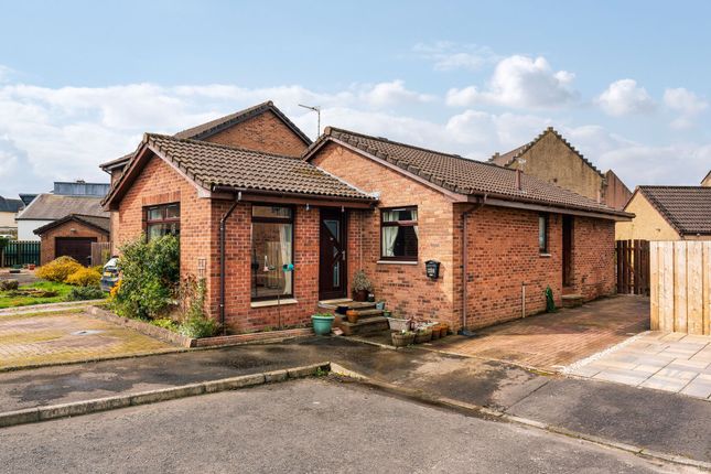 Thumbnail Detached bungalow for sale in Carse View, Airth