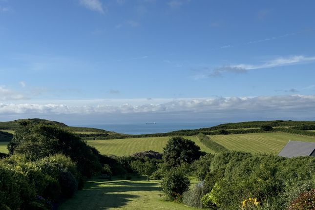 Image 36