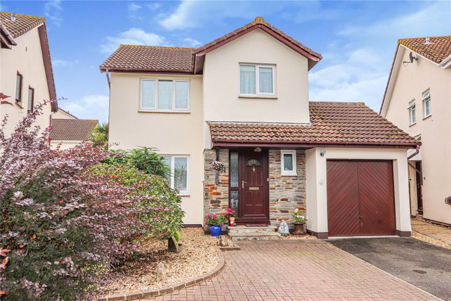 Thumbnail Detached house for sale in Little Field, Bideford