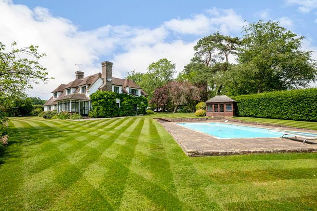 Thatch House, Knowle Lane, Halland photo 3