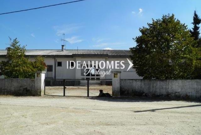 Thumbnail Commercial property for sale in Abrantes, Portugal