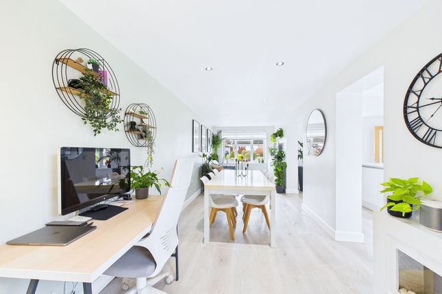 Dining / Living Area