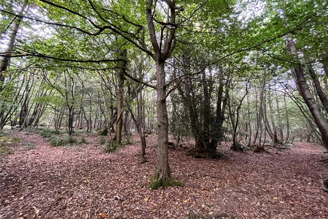 Thumbnail Land for sale in Tree Tops, Wilderness Lane, Hadlow Down, Uckfield